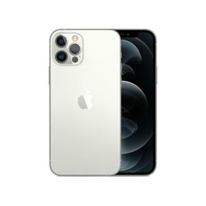 APPLE - SMARTPHONE APPLE REFURBISHED(Grade A) IPHONE 12 Pro 256GB Argento(MGMQ3B)
