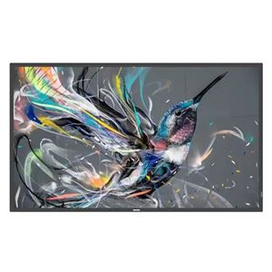PHILIPS - MONITOR PHILIPS DIGITAL SIGNAGE 65" Q-Line 65BDL3511Q/00 8ms MM UHD BLACK DVI 3xHDMI 2xUSB LAN Vesa NO BASE(65BDL3511Q/00)